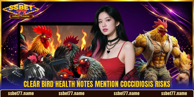 Clear bird health notes mention Coccidiosis risks Clear bird health notes mention Coccidiosis risks