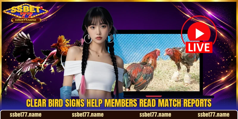 Clear bird signs help members read match reports Clear bird signs help members read match reports