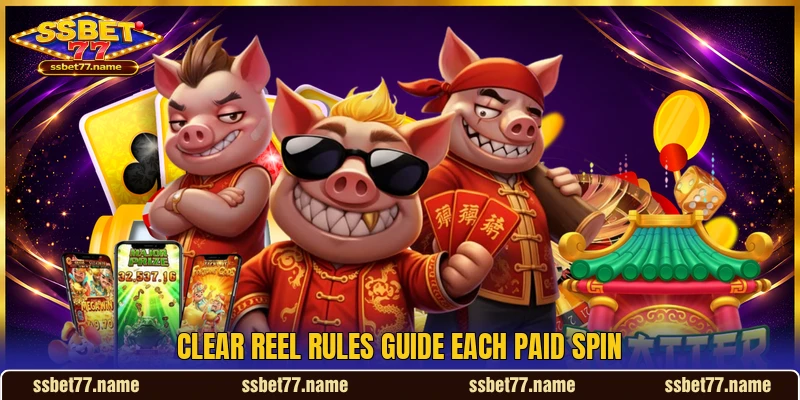 Clear reel rules guide each paid spin Clear reel rules guide each paid spin