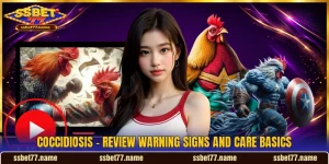 Coccidiosis - Review Warning Signs And Care Basics