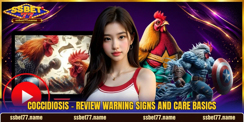 Coccidiosis - Review Warning Signs And Care Basics