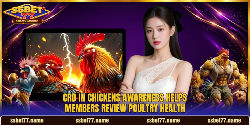 CRD in chickens awareness helps members review poultry health