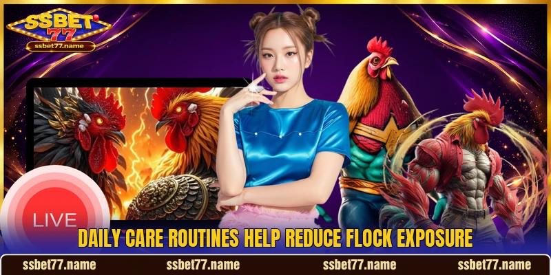 Daily care routines help reduce flock exposure