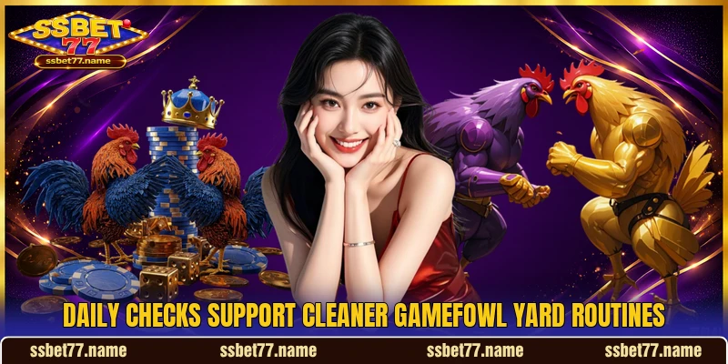 Daily checks support cleaner gamefowl yard routines