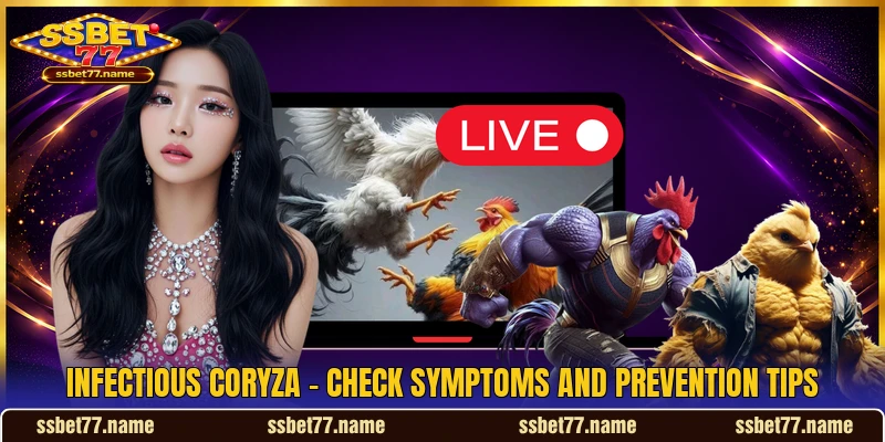 Infectious Coryza - Check Symptoms And Prevention Tips