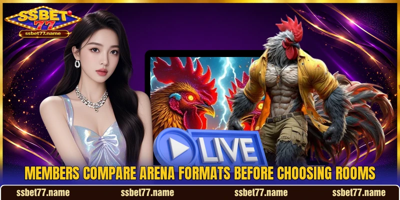 Members compare arena formats before choosing rooms Members compare arena formats before choosing rooms