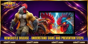 Newcastle Disease - Understand Signs And Prevention Steps