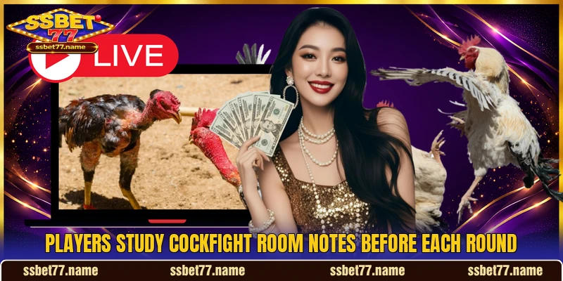 Players study cockfight room notes before each round Players study cockfight room notes before each round